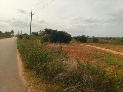 Image of 900 Sq.ft Residential Plot / Land for sale in Mullanpur, Mohali for Rs. 17900000