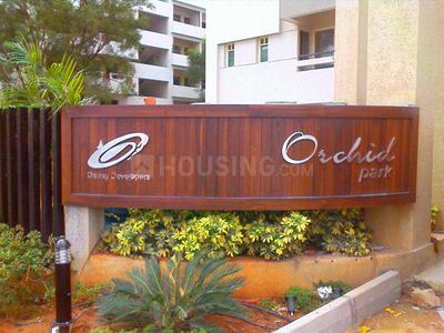 3 BHK Flat