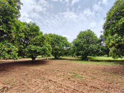 Image of 39300 Sq.ft Residential Plot / Land for sale in Kothapalle, Hyderabad for Rs. 60900000