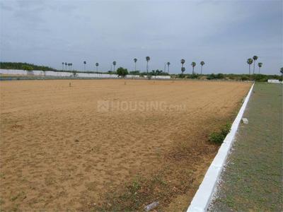 Residential Plot