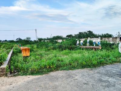 Image of 1000 Sq.ft Residential Plot / Land for sale in Tifra, Bilaspur for Rs. 1150000