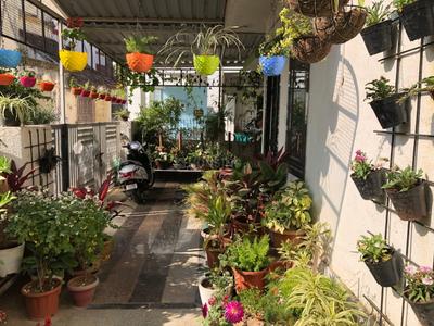 Balcony Image of 2500 Sq.ft 4 BHK Independent House for sale in Mount Abu Sirohi for Rs. 13000000