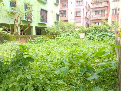 Madurdaha Plot View 3