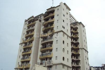 Image of 1135 Sq.ft 2.5 BHK Apartment / Flat for rent in Purvanchal Silver City, Sector 93, Noida for Rs. 28000