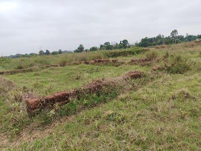 Image of 1200 Sq.ft Residential Plot / Land for sale in Pamsara, Bhubaneswar for Rs. 2210000