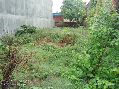 Residential Plot