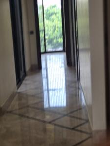 Hall Image of 3600 Sq.ft 4 BHK Builder Floor for sale in Vasant Vihar New Delhi for Rs. 115000000