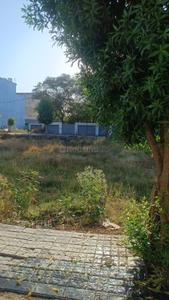Rau Plot View 3