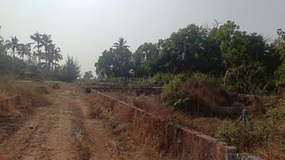 Image of 93108 Sq.ft 4 BHK Farm House for sale in Morjim, Goa for Rs. 1100000000