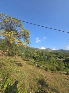 Image of 1800 Sq.ft Residential Plot / Land for sale in Kairwaan Gaon, Dehradun for Rs. 13600000