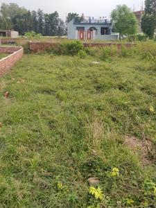 Image of 1100 Sq.ft Residential Plot / Land for sale in Selakui, Dehradun for Rs. 2343270