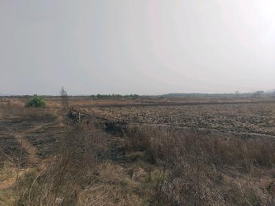Image of 1089 Sq.ft Residential Plot / Land for sale in Punade, Raigad for Rs. 500000