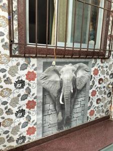 Bedroom Image of 600 Sq.ft 2 BHK Independent House for sale in Andheri East Mumbai for Rs. 6200000