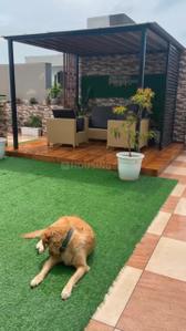 Image of 2484 Sq.ft 4 BHK Builder Floor for sale in Sector 49, Gurgaon for Rs. 37500000