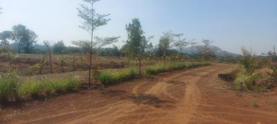 Image of 5360 Sq.ft Residential Plot / Land for sale in Trimbak, Nashik for Rs. 2301000
