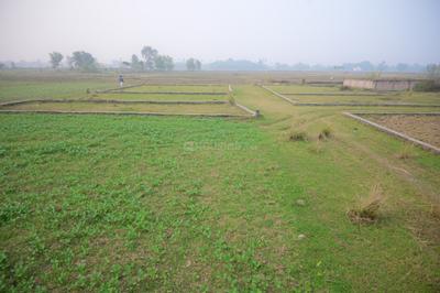 Image of 1200 Sq.ft Residential Plot / Land for sale in Ganawan, Patna for Rs. 3000000
