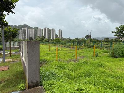 Palaspa Plot View 3