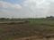 Basantpur Saitli Plot View 2