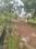 KONCHOWKI HOUSING SOCIETY Internal Roads 2
