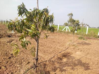 Image of 9600 Sq.ft Residential Plot / Land for sale in Walajabad, Chennai for Rs. 2400000
