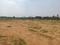 Golden city sadisavepet Plot View 2