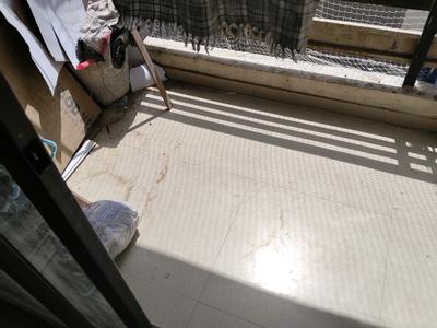 Living Room Image of 1215 Sq.ft 2 BHK Apartment / Flat for sale in New Ranip Ahmedabad for Rs. 6500000