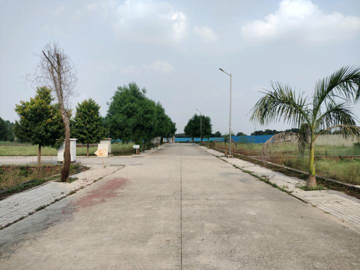 Soha Neal City Main Image 1