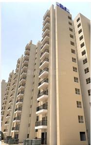 Image of 1100 Sq.ft 2 BHK Apartment / Flat for sale in GLS Avenue City, Sector 92, Gurgaon for Rs. 8500000