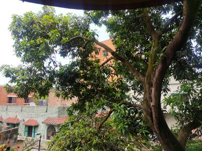 Living Room Image of 2200 Sq.ft 3 BHK Independent House for sale in Konnagar Hooghly for Rs. 7200000
