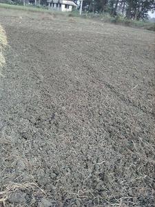 Image of 14400 Sq.ft Residential Plot / Land for sale in Chowrangee, North 24 Parganas District for Rs. 6000000