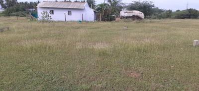 Chettipalayam Plot View 2