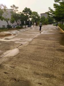 Spiti Palm Estate Internal Roads 2