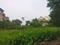 Mukundapur nayabad kmc word 109 Plot View 2