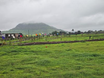 Image of 10000 Sq.ft Residential Plot / Land for sale in Trimbak, Nashik for Rs. 1810000