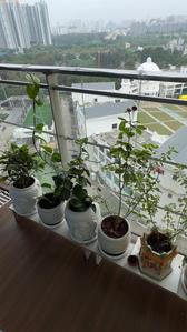 Balcony Image of 1500 Sq.ft 3 BHK Apartment / Flat for sale in Amanora Gateway Towers, Hadapsar Pune for Rs. 31000000