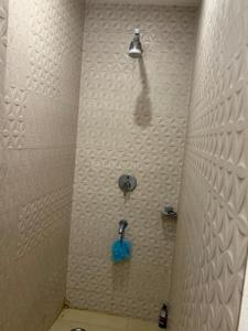 Image of 2700 Sq.ft 3 BHK Builder Floor for rent in Sector 43, Gurgaon for Rs. 80000
