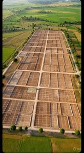 Image of 1116 Sq.ft Residential Plot / Land for sale in Palwal, Hodal for Rs. 6200000