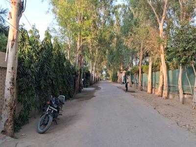 Image of 9072 Sq.ft Residential Plot / Land for sale in Dkrrish Green Beauty Farms, Nagli Bahrampur, Noida for Rs. 9900000