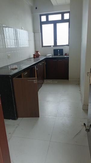 Prasad Rare Earth Main Image 1