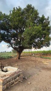 Image of 1000 Sq.ft Residential Plot / Land for sale in Airport Road, Bhopal for Rs. 5700000