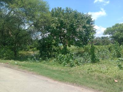 Residential plot Sonarpur Plot View 2