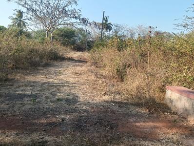 Image of 2050 Sq.ft Residential Plot / Land for sale in Kusugal, Hubli for Rs. 1700000