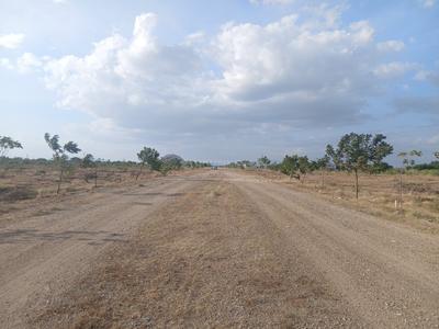 Image of 30502 Sq.ft Residential Plot / Land for sale in Tirumangalam, Madurai for Rs. 2450000