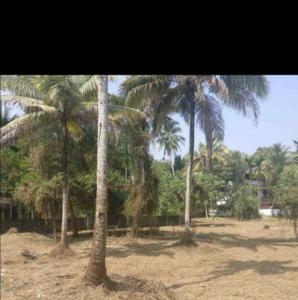 Image of 3480 Sq.ft Residential Plot / Land for sale in Thrippunithura, Kochi for Rs. 4800000