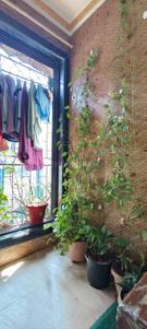 Balcony Image of 600 Sq.ft 1 BHK Apartment / Flat for sale in Kalash Paradise, Sanpada Navi Mumbai for Rs. 9700000