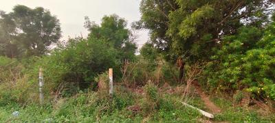 Image of 310 Sq.ft Residential Plot / Land for sale in Randheja, Gandhinagar for Rs. 30000000
