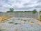 Manju Samruddhi Residency Internal Roads 2