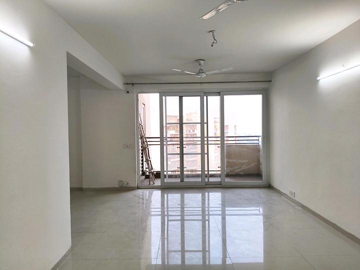 Tulip Violet Main Image 1