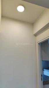 Bedroom Image of 1200 Sq.ft 3 BHK Apartment / Flat for sale in Rising Homes At DXP 92, Sector 92 Gurgaon for Rs. 14800000