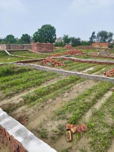 Image of 730 Sq.ft Residential Plot / Land for sale in Noida Extension, Greater Noida for Rs. 7000000